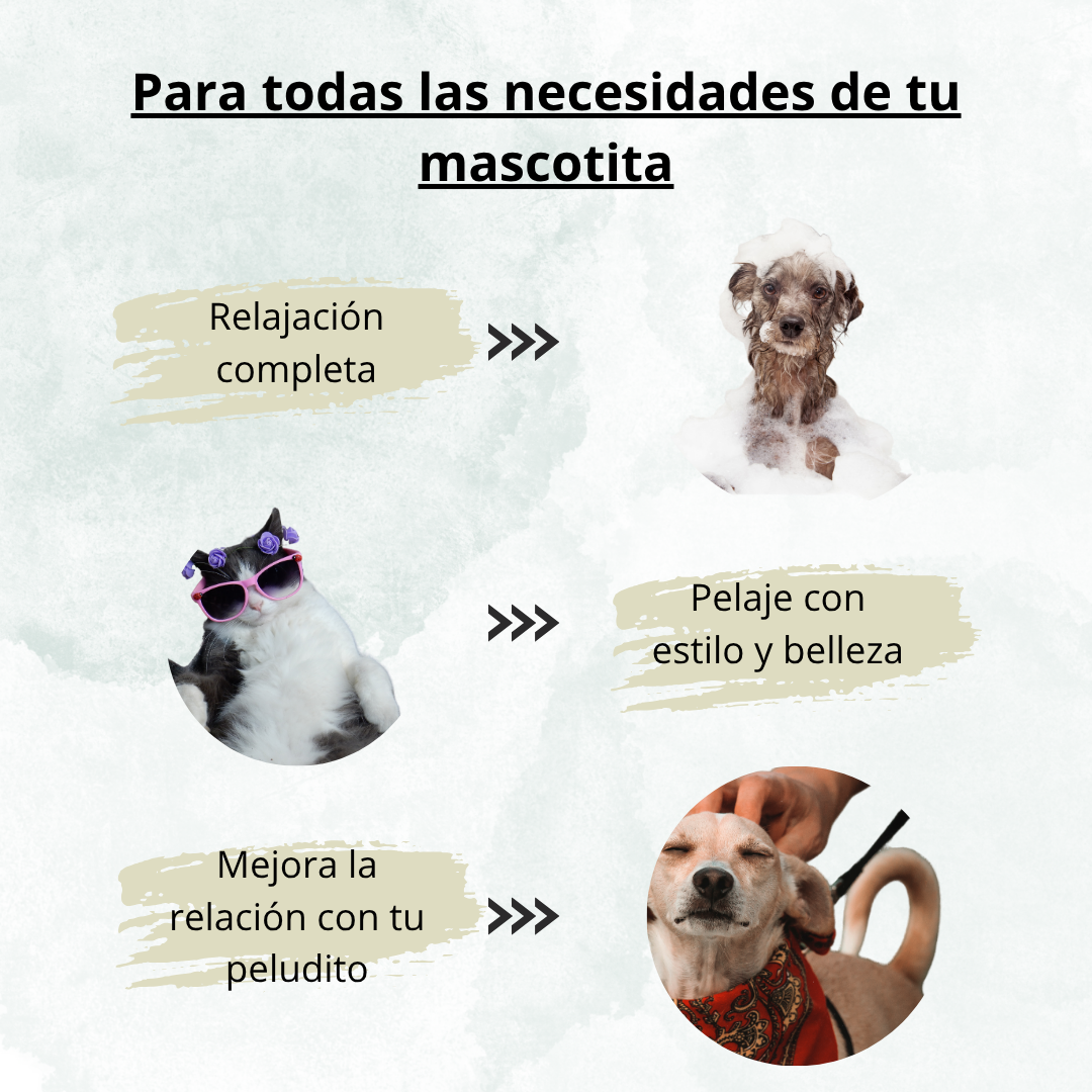 CEPILLO DE VAPOR RECARGABLE PARA MASCOTAS